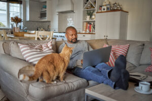 A mature man using a laptop on the sofa at home next to his cat. Guy sitting and relaxing on the couch and working online with a computer